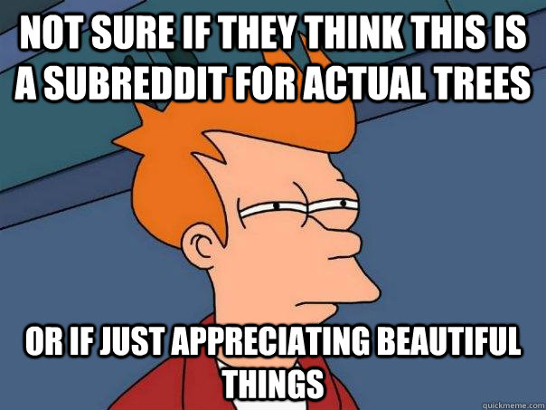 not sure if they think this is a subreddit for actual trees or if just appreciating beautiful things   Futurama Fry