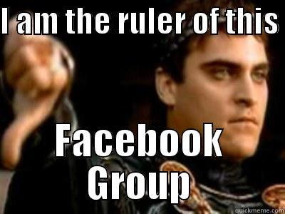 I AM THE RULER OF THIS  FACEBOOK GROUP Downvoting Roman