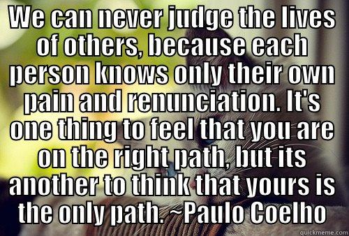 WE CAN NEVER JUDGE THE LIVES OF OTHERS, BECAUSE EACH PERSON KNOWS ONLY THEIR OWN PAIN AND RENUNCIATION. IT'S ONE THING TO FEEL THAT YOU ARE ON THE RIGHT PATH, BUT ITS ANOTHER TO THINK THAT YOURS IS THE ONLY PATH. ~PAULO COELHO  First World Problems Cat