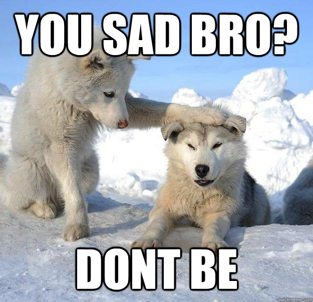 you sad bro? dont be  Caring Husky