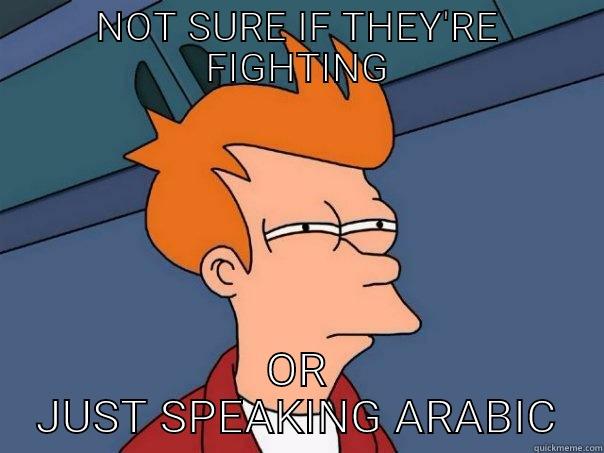 NOT SURE IF THEY'RE FIGHTING OR JUST SPEAKING ARABIC Futurama Fry