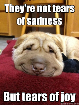 They're not tears of sadness But tears of joy - They're not tears of sadness But tears of joy  Misc