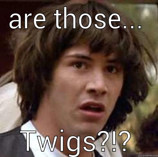 ARE THOSE... TWIGS?!? conspiracy keanu