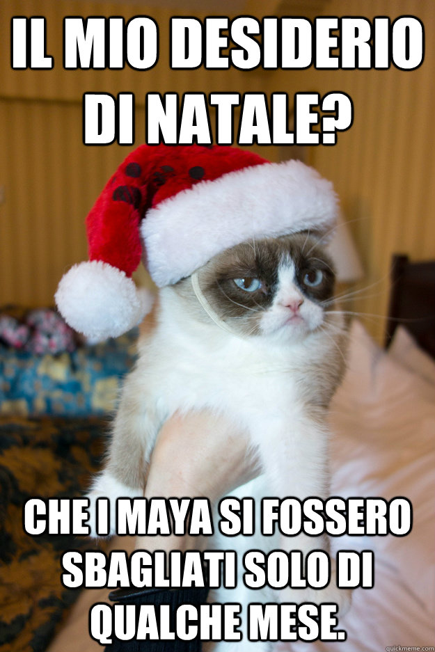 il mio desiderio di natale? che i maya si fossero sbagliati solo di qualche mese.  Grumpy xmas
