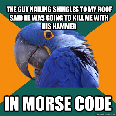 The guy nailing shingles to my roof said he was going to kill me with his hammer In Morse Code - The guy nailing shingles to my roof said he was going to kill me with his hammer In Morse Code  Paranoid Parrot