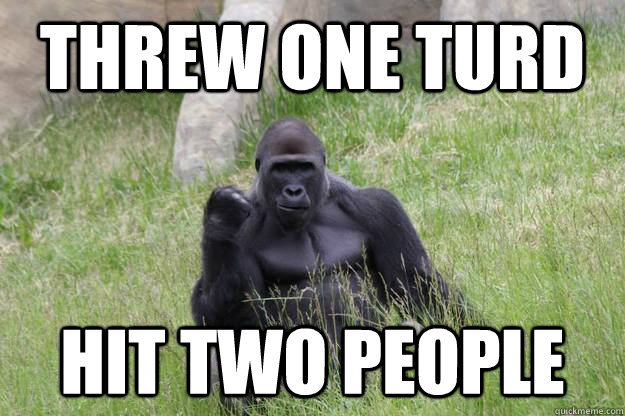 Threw one turd Hit two people - Threw one turd Hit two people  Success Gorilla