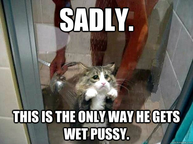 Sadly. This is the only way he gets wet pussy.  Shower kitty