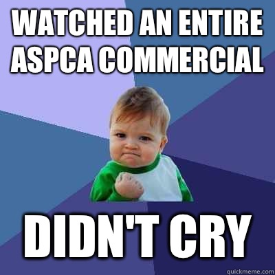 Watched an entire ASPCA commercial Didn't cry  Success Kid
