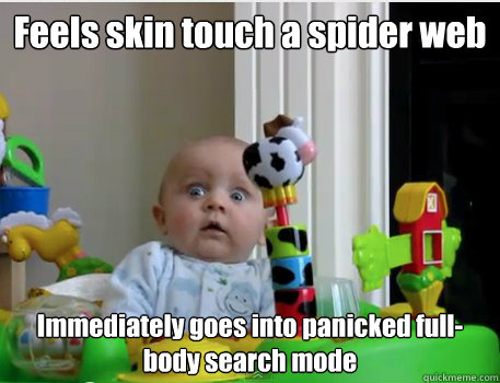 Feels skin touch a spider web Immediately goes into panicked full-body search mode  Scared Baby