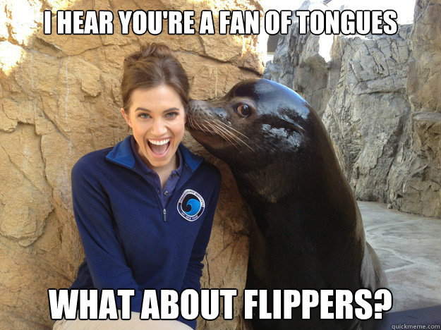 I hear you're a fan of tongues What about flippers? - I hear you're a fan of tongues What about flippers?  Sea Lion