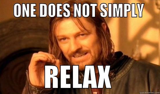   ONE DOES NOT SIMPLY   RELAX Boromir