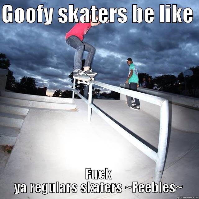 GOOFY SKATERS BE LIKE  FUCK YA REGULARS SKATERS ~FEEBLES~ Misc