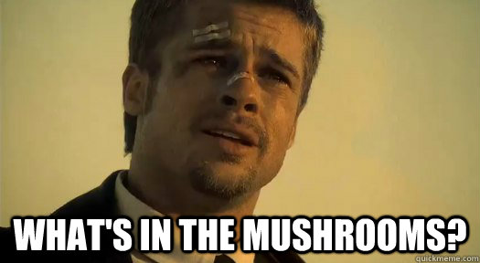  What's in the mushrooms?   Whats in the box