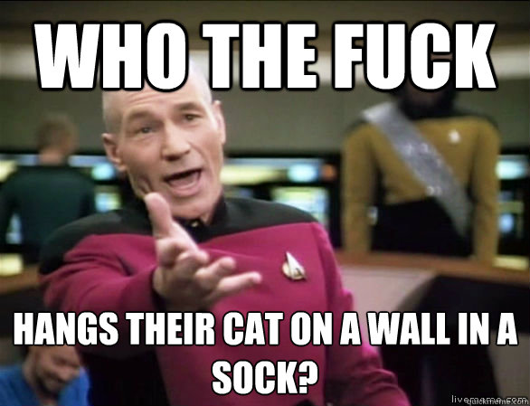 who the fuck hangs their cat on a wall in a sock?  Annoyed Picard HD