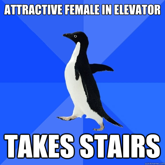 Attractive Female in elevator takes stairs  Socially Awkward Penguin