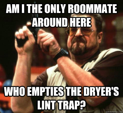 Am i the only roommate around here Who empties the dryer's lint trap?  Am I The Only One Around Here