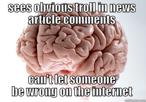 Wrong on the Internet - SEES OBVIOUS TROLL IN NEWS ARTICLE COMMENTS CAN'T LET SOMEONE BE WRONG ON THE INTERNET Scumbag Brain