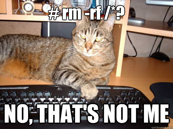 # rm -rf /* ? NO, THAT'S NOT ME - # rm -rf /* ? NO, THAT'S NOT ME  catrm