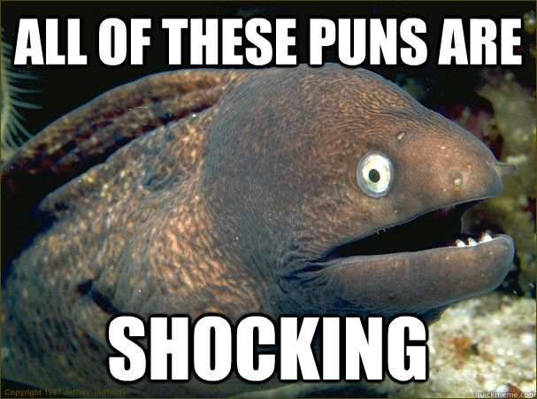 All of these puns are  Shocking  Bad Joke Eel