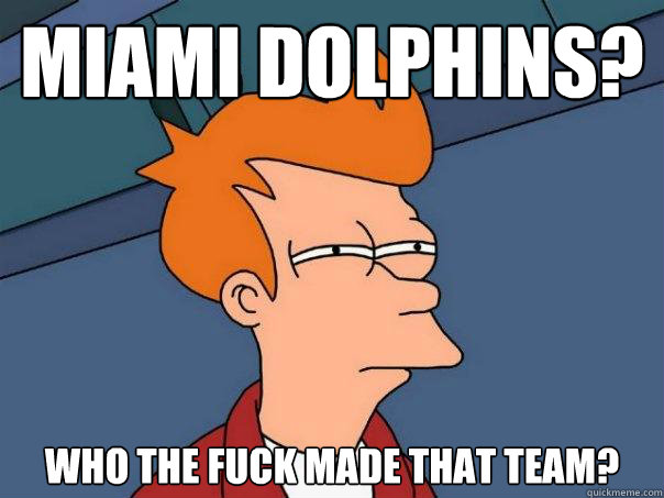 Miami Dolphins? Who The Fuck Made That Team?  Futurama Fry