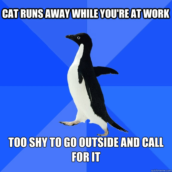 Cat runs away while you're at work too shy to go outside and call for it  Socially Awkward Penguin