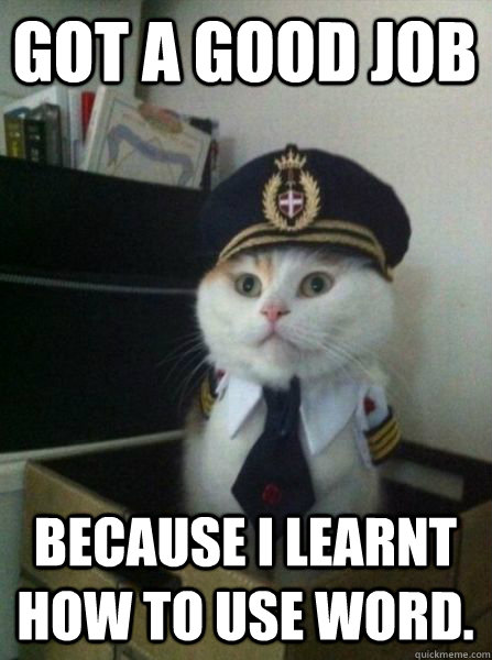 got a good job because i learnt how to use word.  Captain kitteh