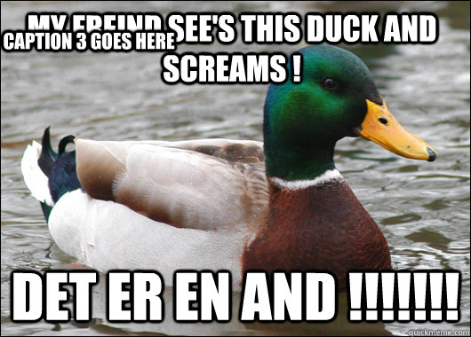 My freind see's this duck and screams ! Det er en And !!!!!!! Caption 3 goes here  Actual Advice Mallard