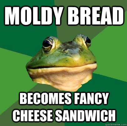 moldy bread becomes fancy cheese sandwich  Foul Bachelor Frog