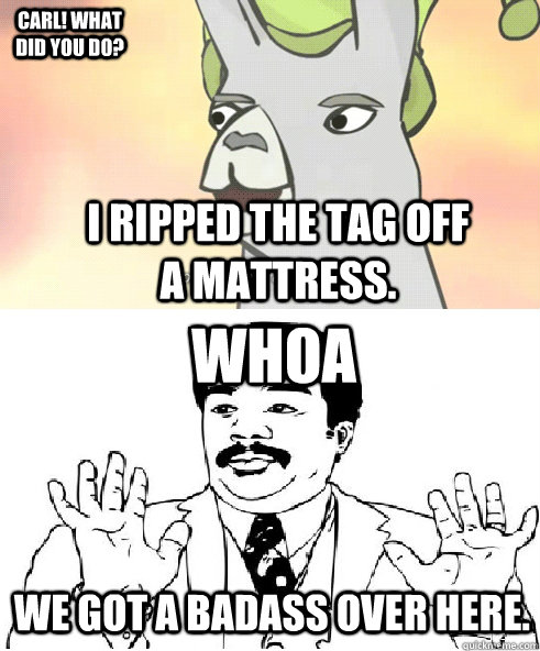 Carl! What did you do? I ripped the tag off a mattress. Whoa We got a badass over here.  I Ripped the Tag off a Mattress