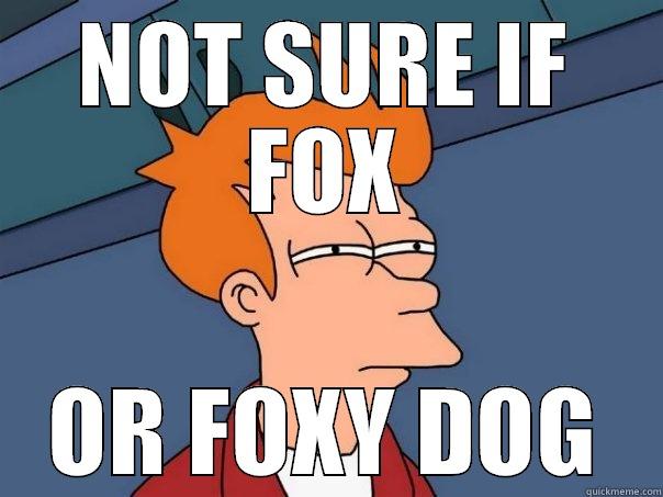 NOT SURE IF FOX OR FOXY DOG Futurama Fry