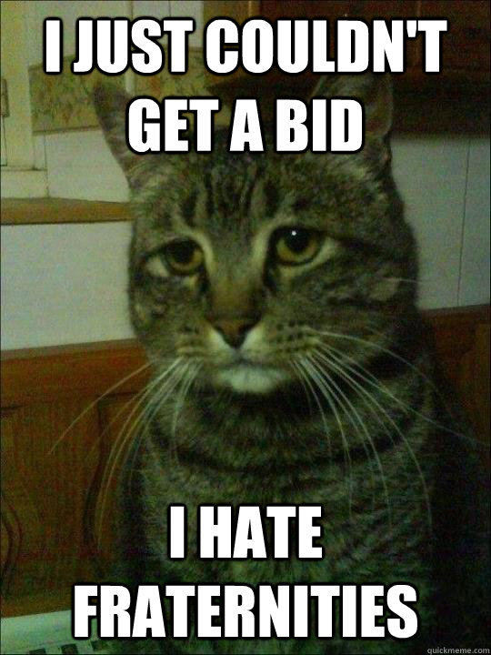 I just couldn't get a bid I hate fraternities  Depressed cat