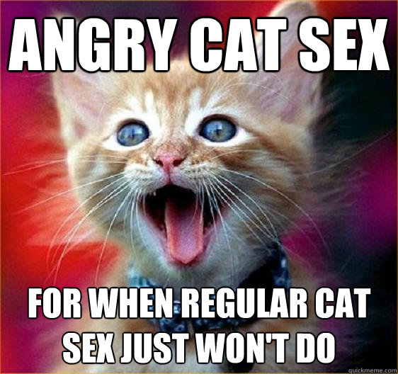 Pull My Hair No Not The Whiskers Angry Cat Sex Quickmeme