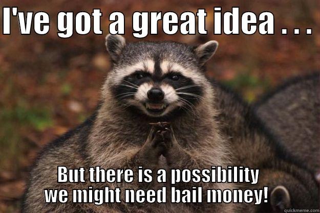 Bail Money - I'VE GOT A GREAT IDEA . . .  BUT THERE IS A POSSIBILITY WE MIGHT NEED BAIL MONEY!  Evil Plotting Raccoon