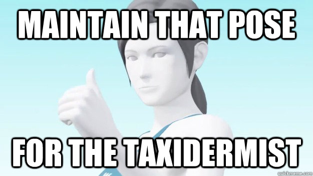 Maintain that pose for the taxidermist  Wii Fit Trainer