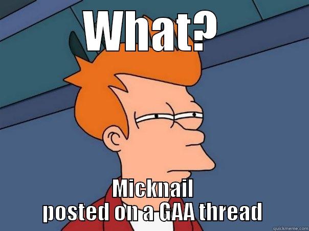 WHAT? MICKNAIL POSTED ON A GAA THREAD Futurama Fry