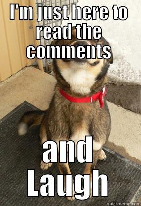 I'M JUST HERE TO READ THE COMMENTS AND LAUGH Good Dog Greg