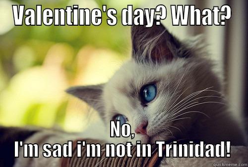 current situation - VALENTINE'S DAY? WHAT? NO, I'M SAD I'M NOT IN TRINIDAD! First World Problems Cat