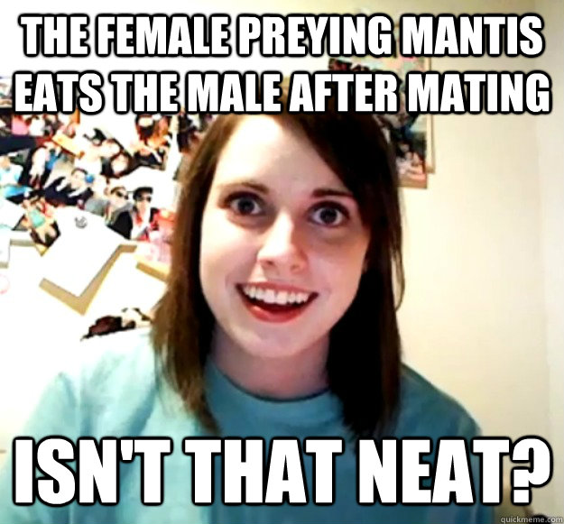 the female preying mantis eats the male after mating isn't that neat?  Overly Attached Girlfriend