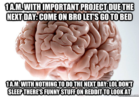 1 A.M. WITH IMPORTANT PROJECT DUE THE NEXT DAY: COME ON BRO LET'S GO TO BED 1 A.M. WITH NOTHING TO DO THE NEXT DAY: LOL DON'T SLEEP THERE'S FUNNY STUFF ON REDDIT TO LOOK AT   Scumbag Brain
