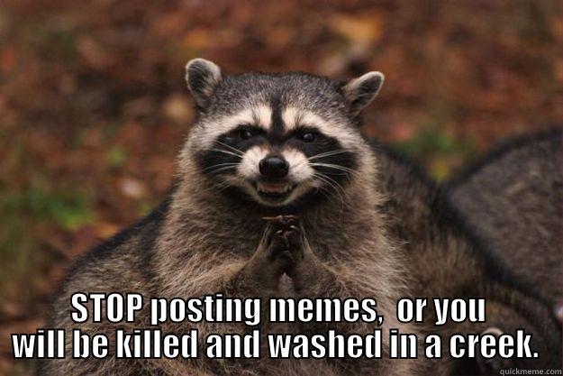 Stop Posting Memes -  STOP POSTING MEMES,  OR YOU WILL BE KILLED AND WASHED IN A CREEK.  Evil Plotting Raccoon