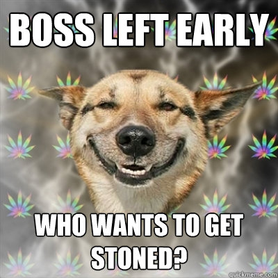 boss left early who wants to get stoned?  Stoner Dog