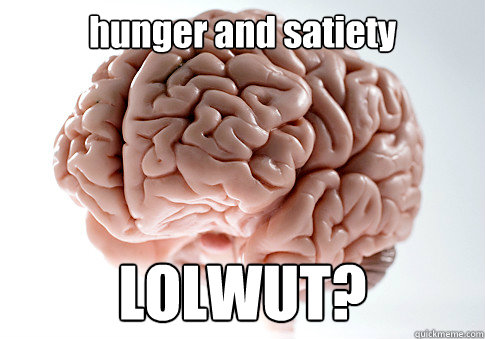 hunger and satiety LOLWUT?   Scumbag Brain