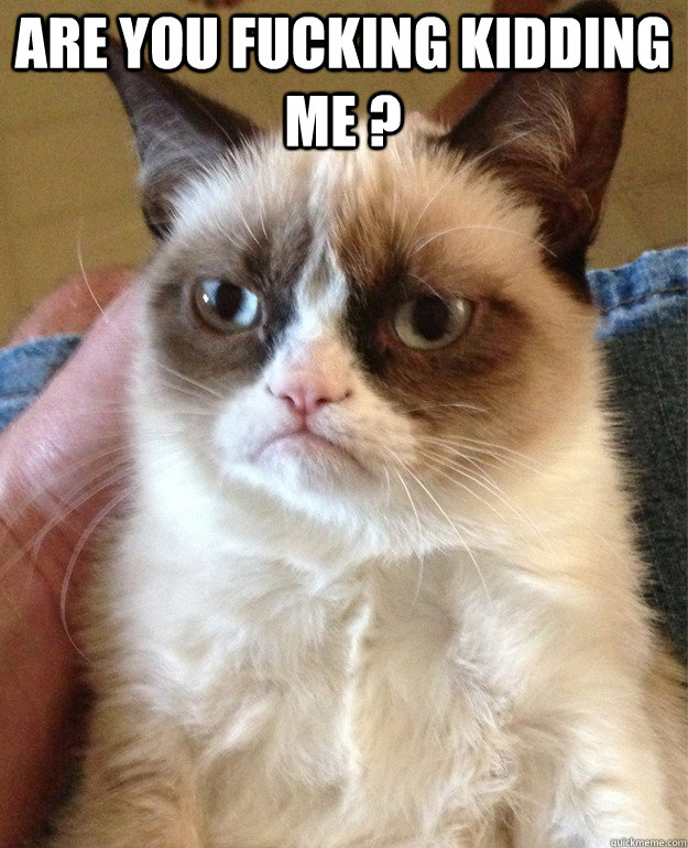 are you fucking kidding me ?   Grumpy Cat