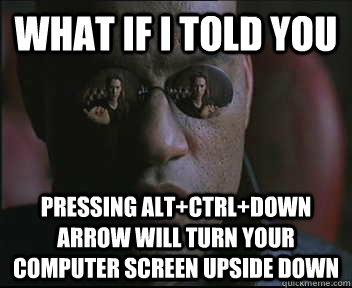 What if I told you pressing alt+ctrl+down arrow will turn your computer screen upside down  Morpheus SC