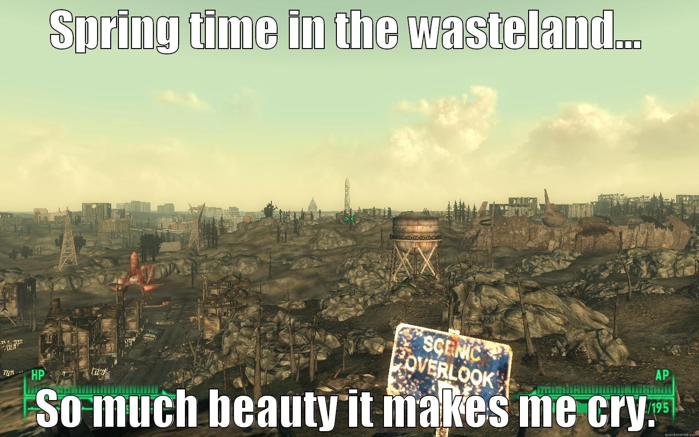 SPRING TIME IN THE WASTELAND... SO MUCH BEAUTY IT MAKES ME CRY. Misc