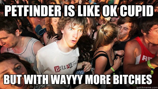 PETFINDER IS LIKE OK CUPID bUT WITH wAYYY MORE BITCHES  Sudden Clarity Clarence