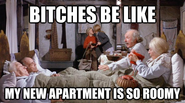 bitches be like my new apartment is so roomy - bitches be like my new apartment is so roomy  Misc