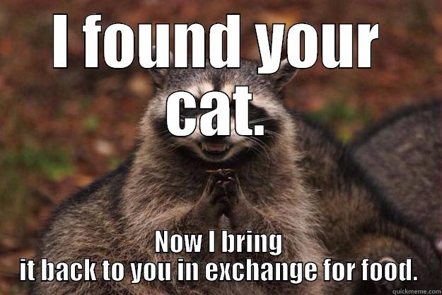 I FOUND YOUR CAT. NOW I BRING IT BACK TO YOU IN EXCHANGE FOR FOOD. Evil Plotting Raccoon