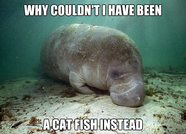 Sea Cow Album On Imgur