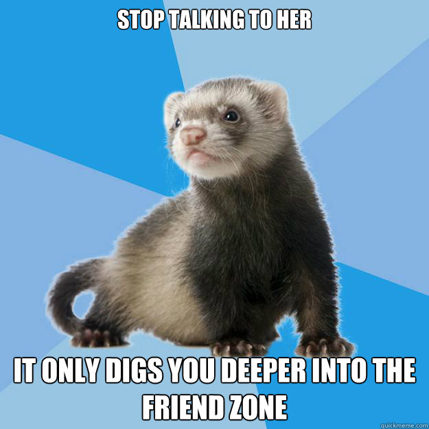 STOP TALKING TO HER IT ONLY DIGS YOU DEEPER INTO THE FRIEND ZONE - STOP TALKING TO HER IT ONLY DIGS YOU DEEPER INTO THE FRIEND ZONE  Friend Zone Ferret